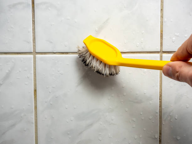Best Emergency Mold Remediation in Roselle, IL