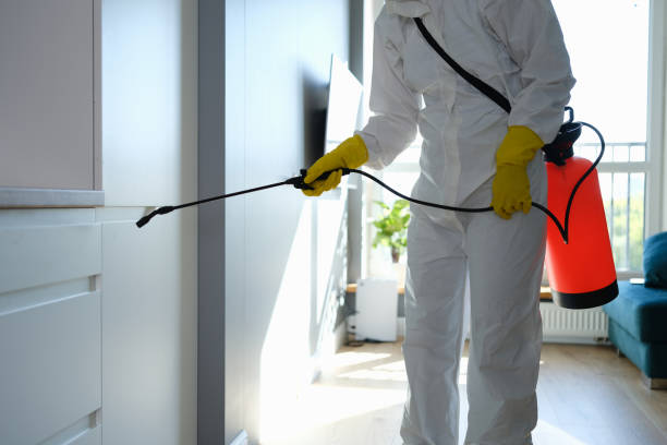 Best Residential Mold Remediation in Roselle, IL