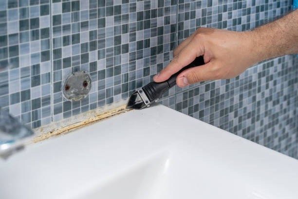 Best Health and Safety Mold Remediation in Roselle, IL