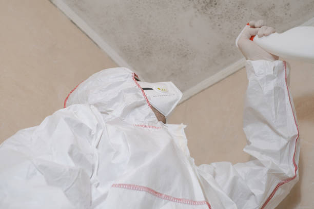 Best Industrial Mold Remediation in Roselle, IL