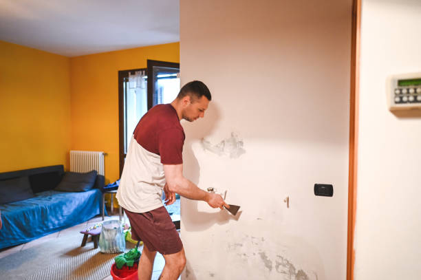 Best DIY Mold Remediation Support Services in Roselle, IL